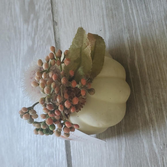 NWT 4 Ashland Mini tabletop Pumpkins - Picture 3 of 12